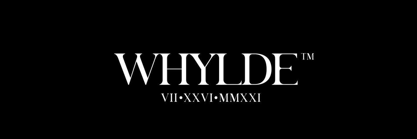 stanl3yd's profile banner image