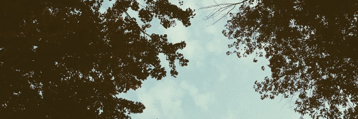 dominguezlibby6's profile banner image