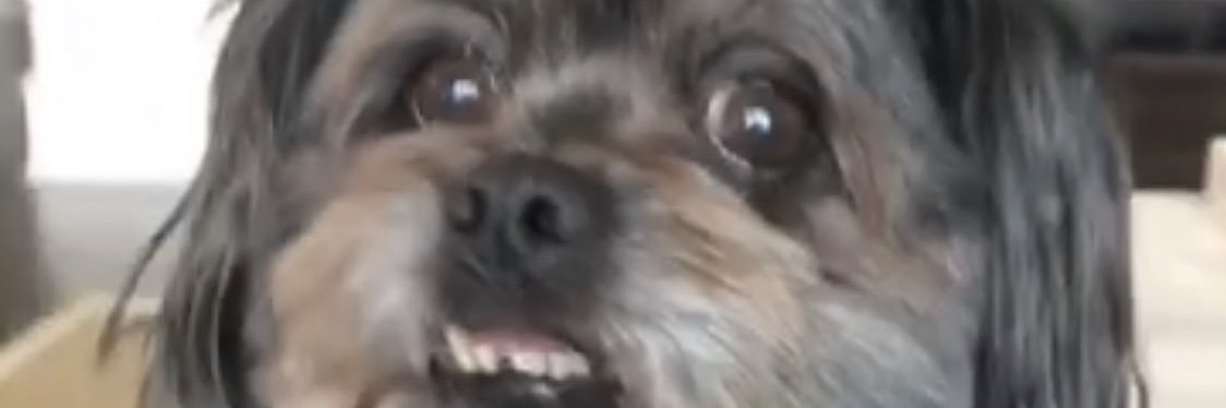 ogobrien_'s profile banner image