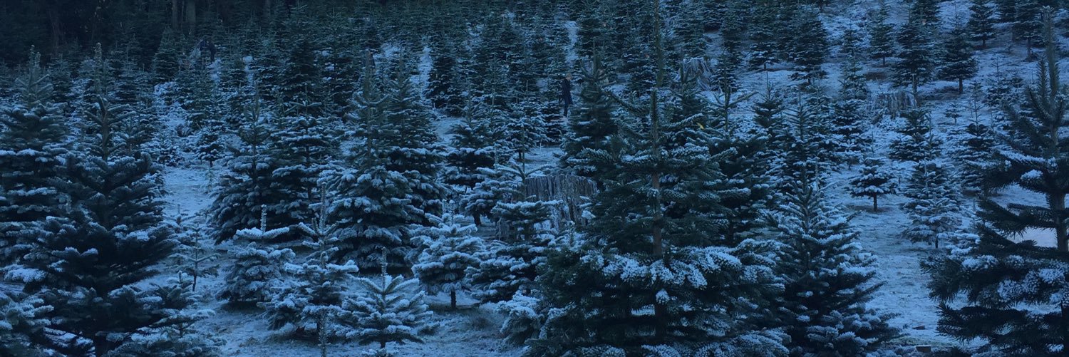 MicaelaRucker's profile banner image