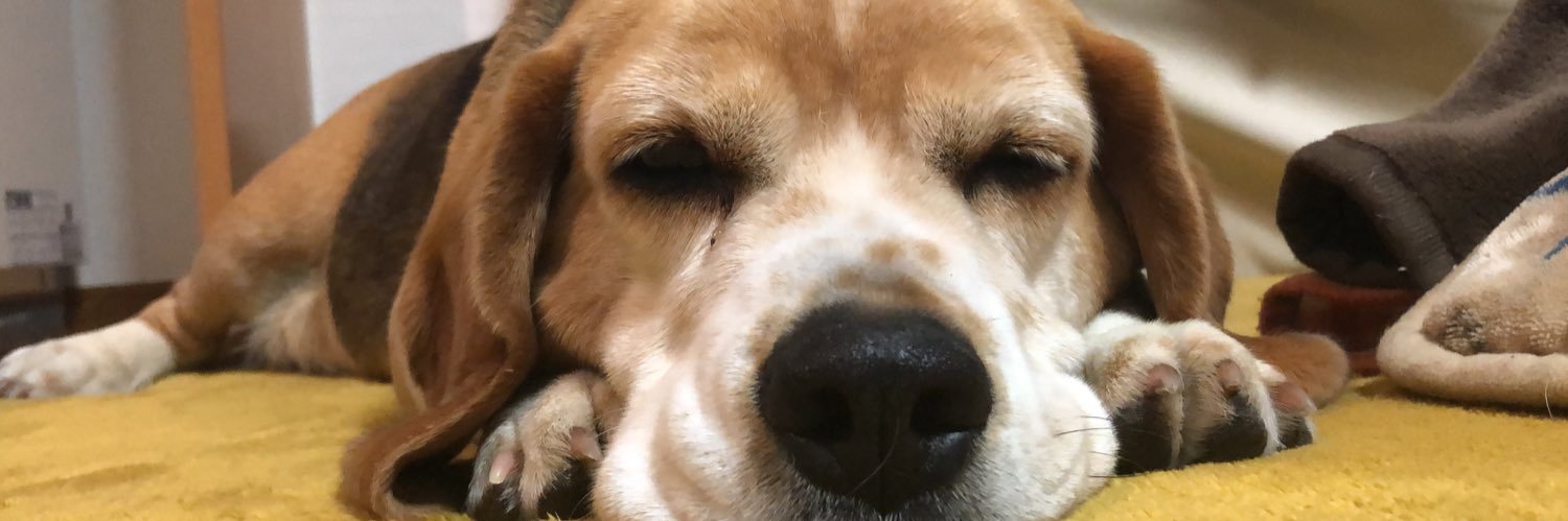 Ken_swiggity's profile banner image