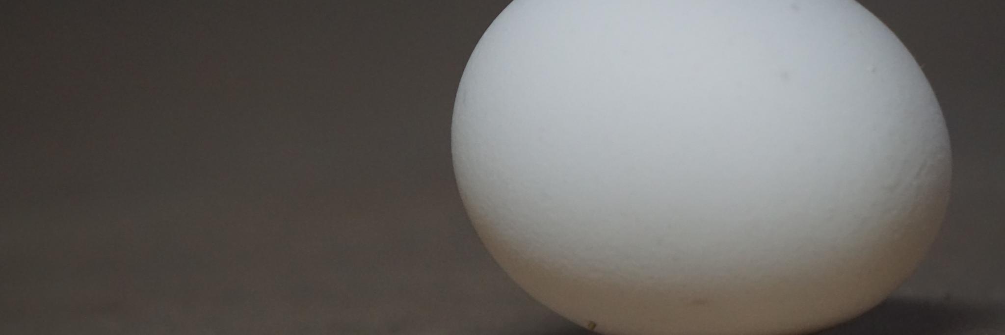 EggIndustryCntr's profile banner image