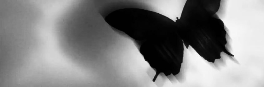 berchin_'s profile banner image