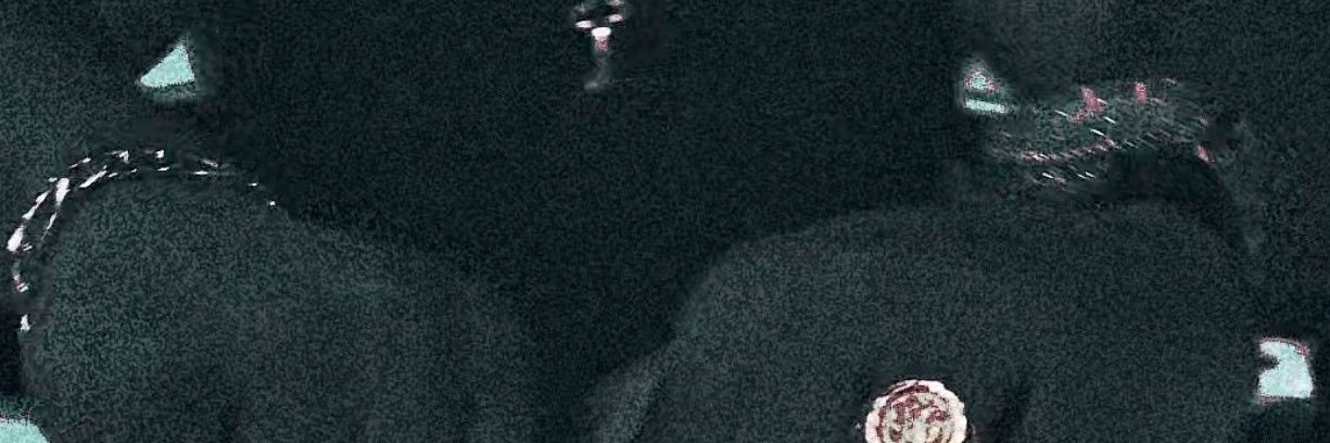 charly_fakky's profile banner image
