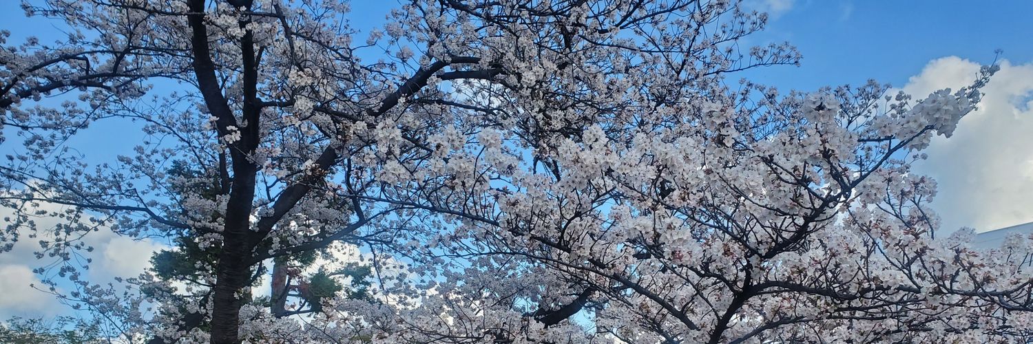mintcheesekoko's profile banner image