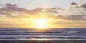 LynnHT77's profile banner image