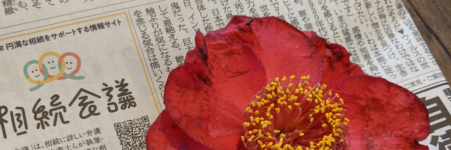 otsukarerice's profile banner image