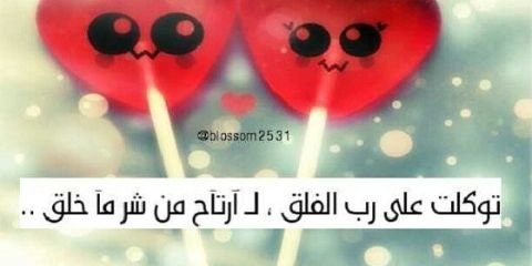 rooz8811's profile banner image