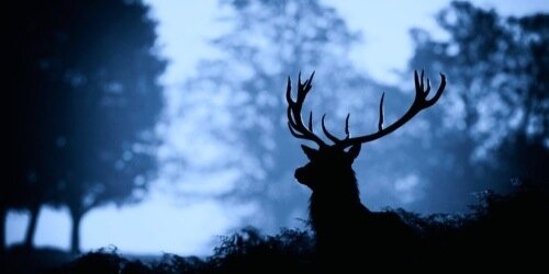 AshleyPriorLG's profile banner image