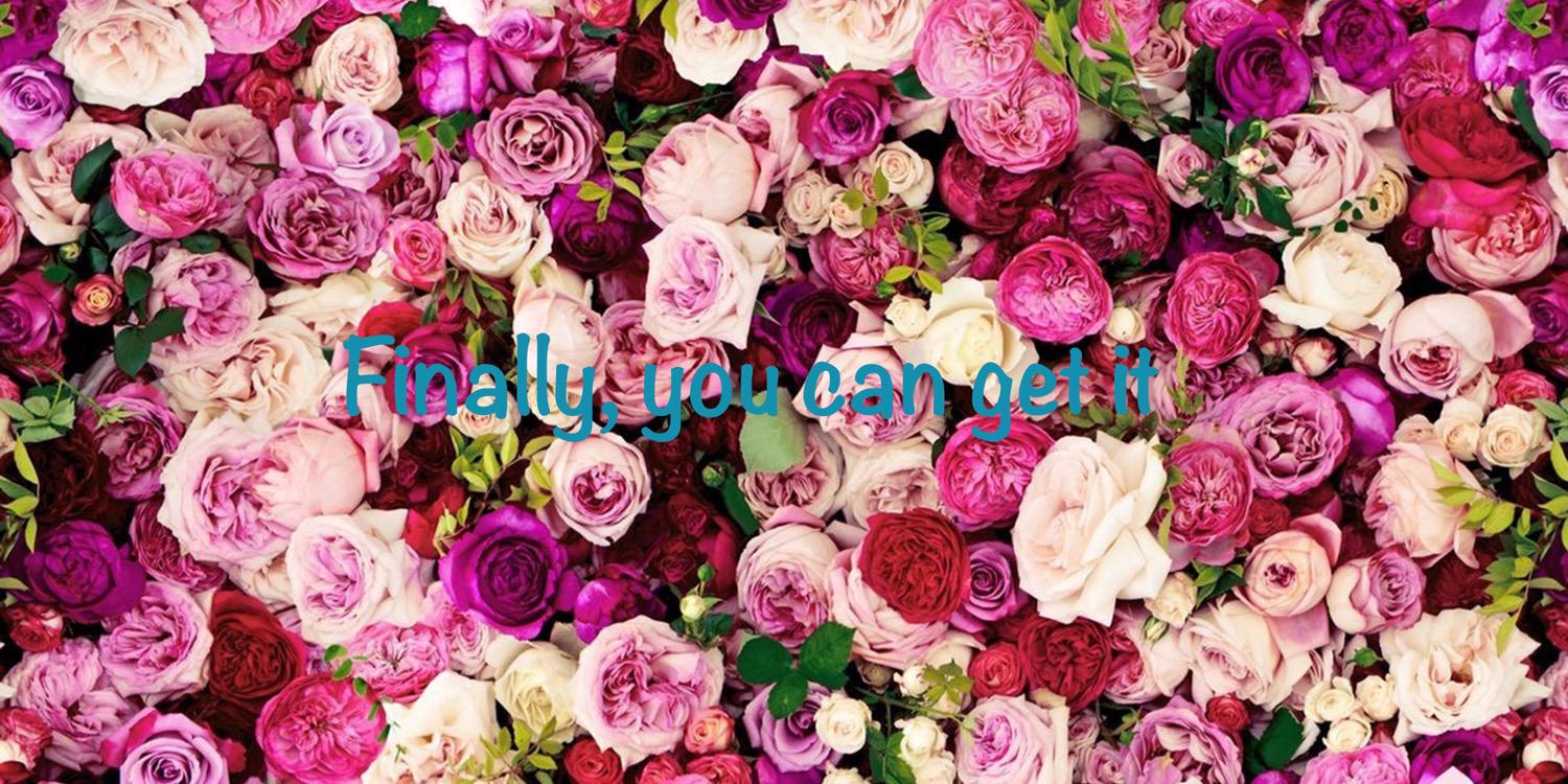 FairyMissLee's profile banner image