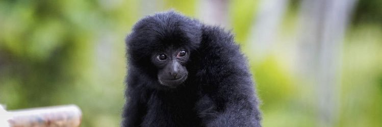 Eric +Daisy Davies banner