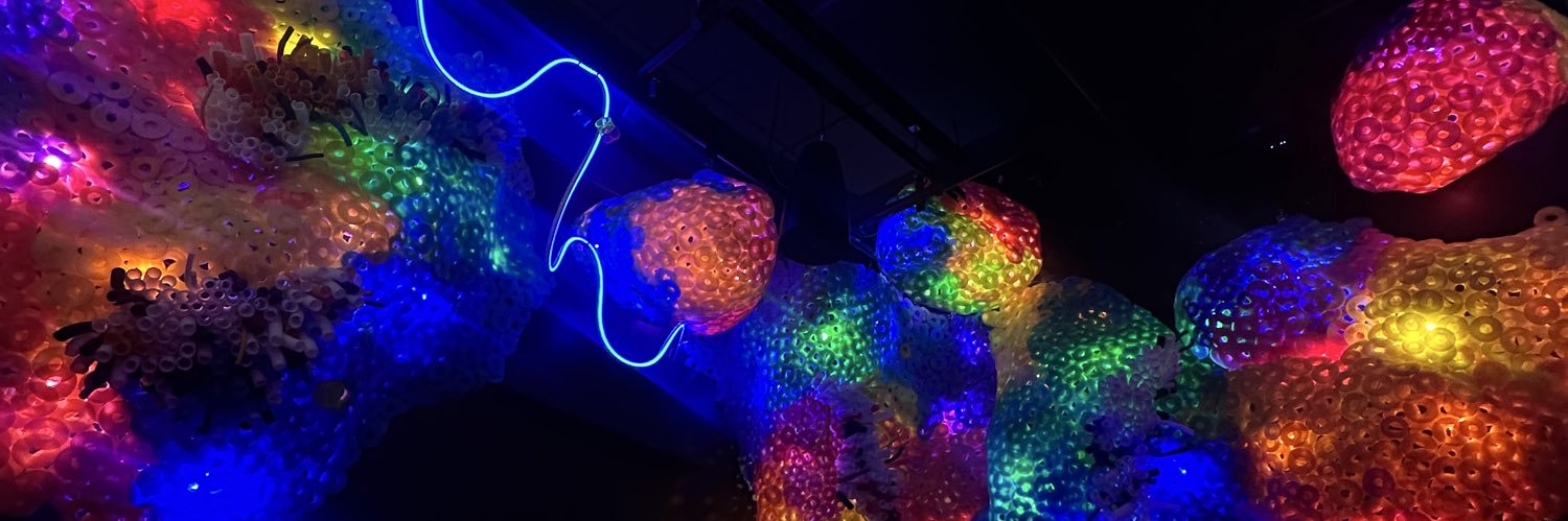 iamev__'s profile banner image