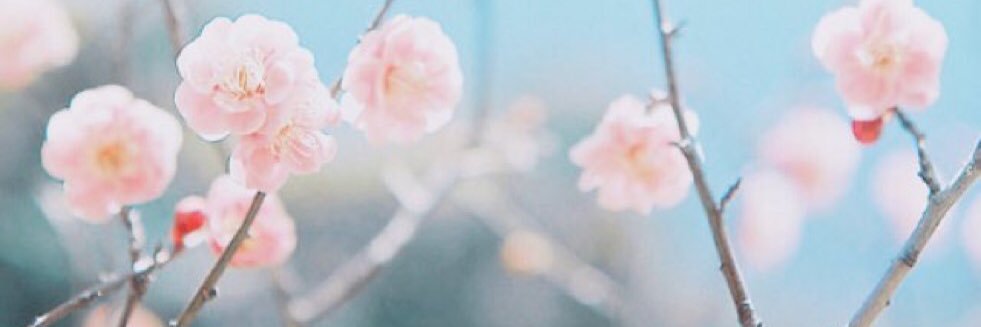 91Hyon's profile banner image