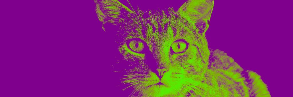 KATYO banner