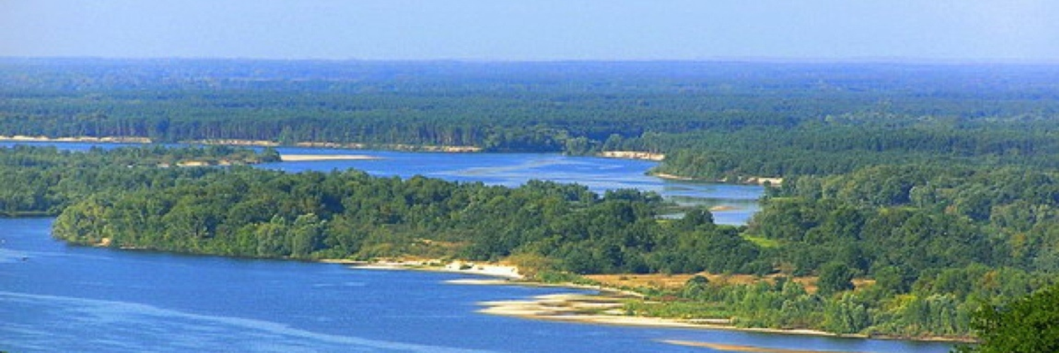 dneprvest's profile banner image