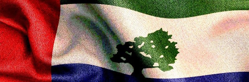 shaalan2000999's profile banner image