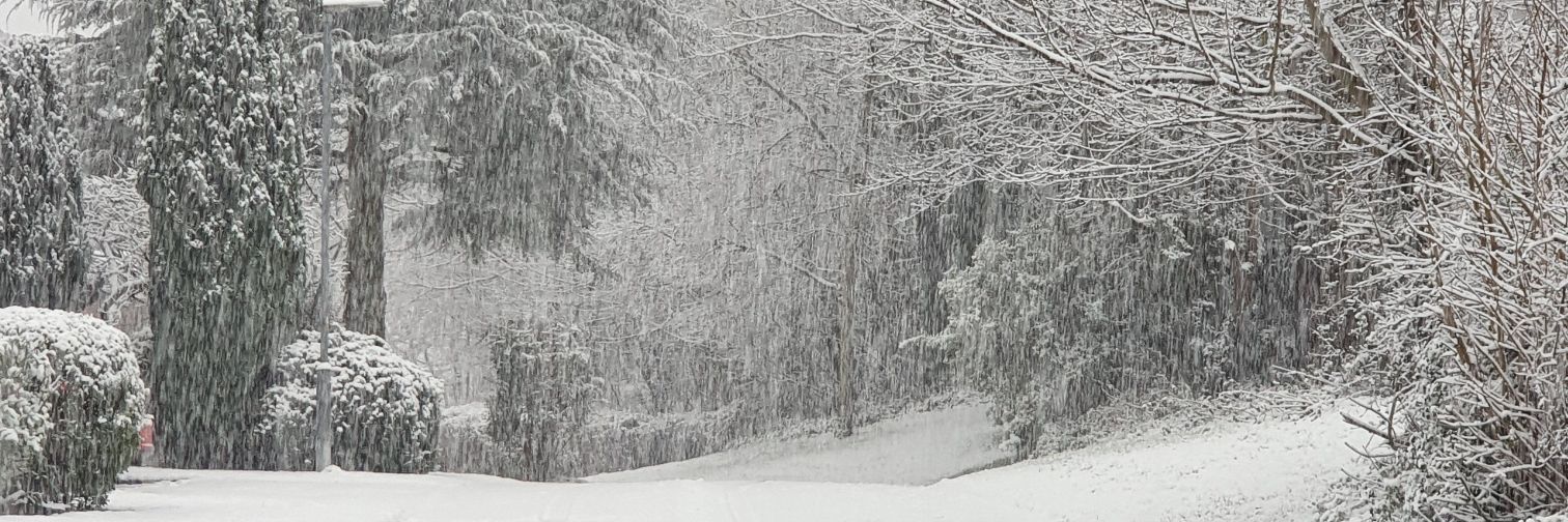 Cheshire Weather banner