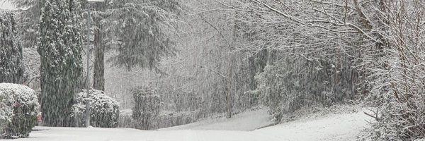 WilmslowWeather Profile Banner