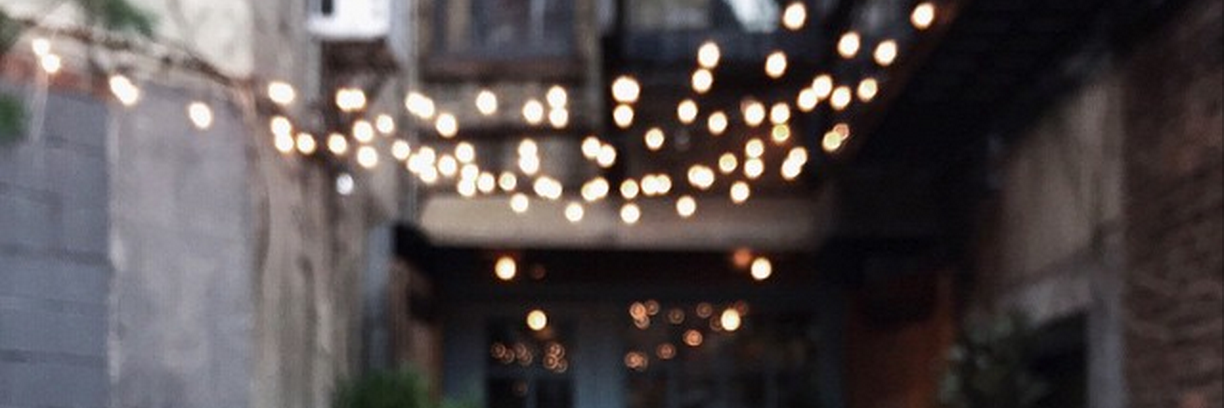Lexi Wiley banner