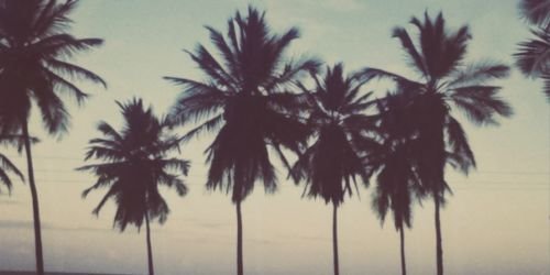 dgkenny_'s profile banner image