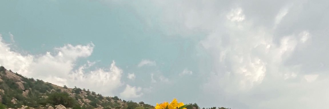 smile_live0's profile banner image