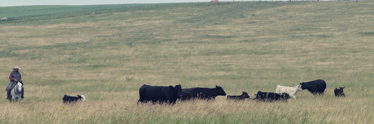 Justin Hozack banner