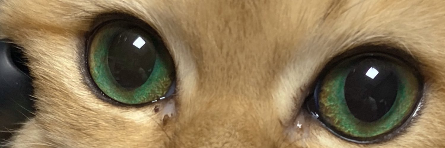 shadow9896's profile banner image