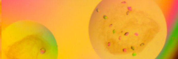 apthompson11 Profile Banner