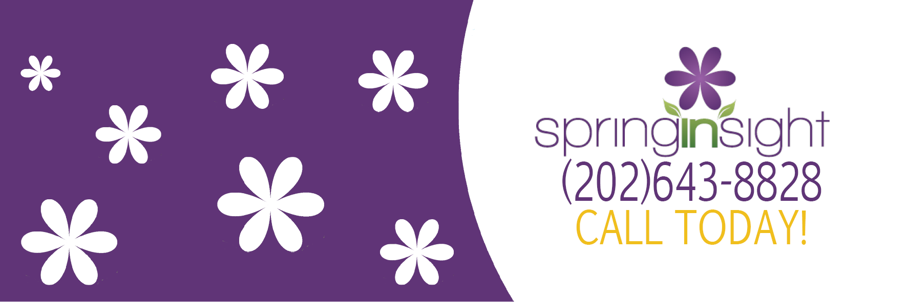 SpringInsight's profile banner image
