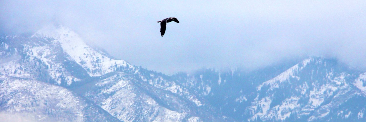 శ్రీకాంత్ banner