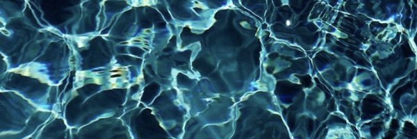 punk_croc Profile Banner