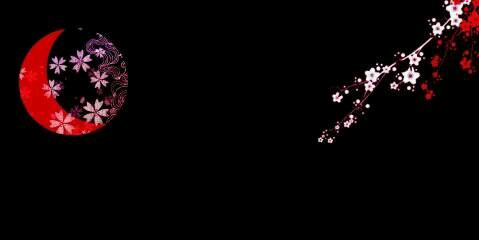 1998654649's profile banner image