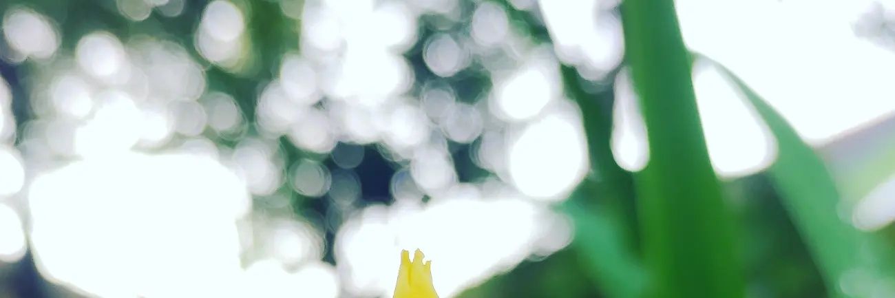 minummilk's profile banner image