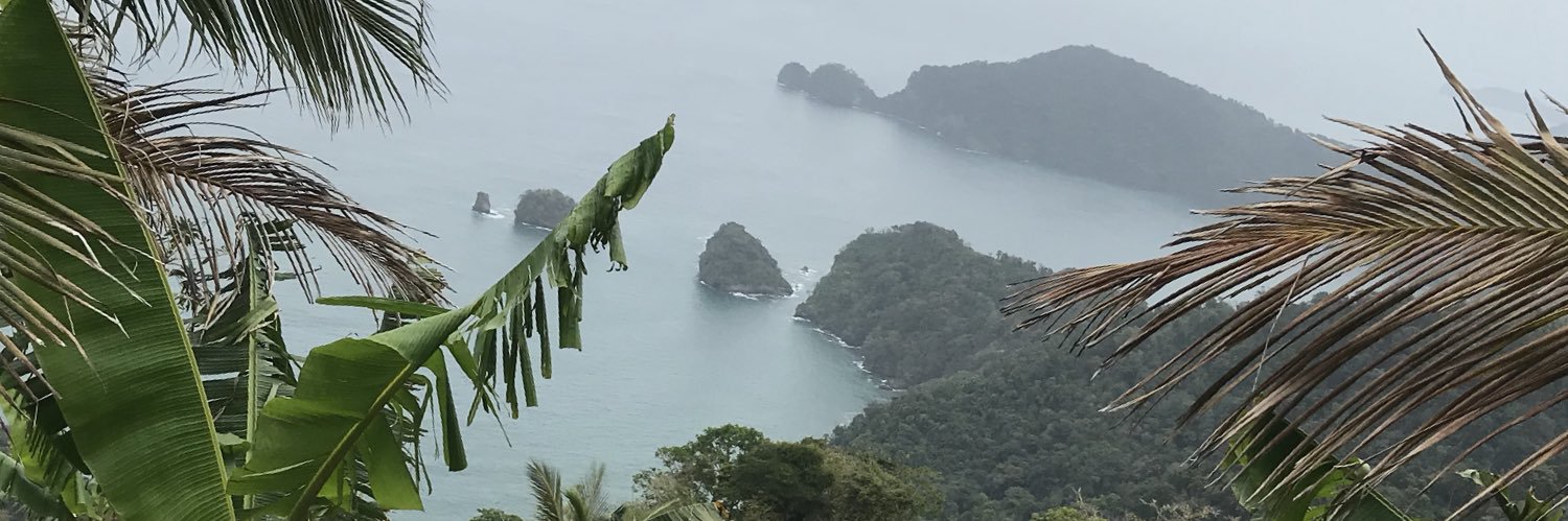 ackfee's profile banner image