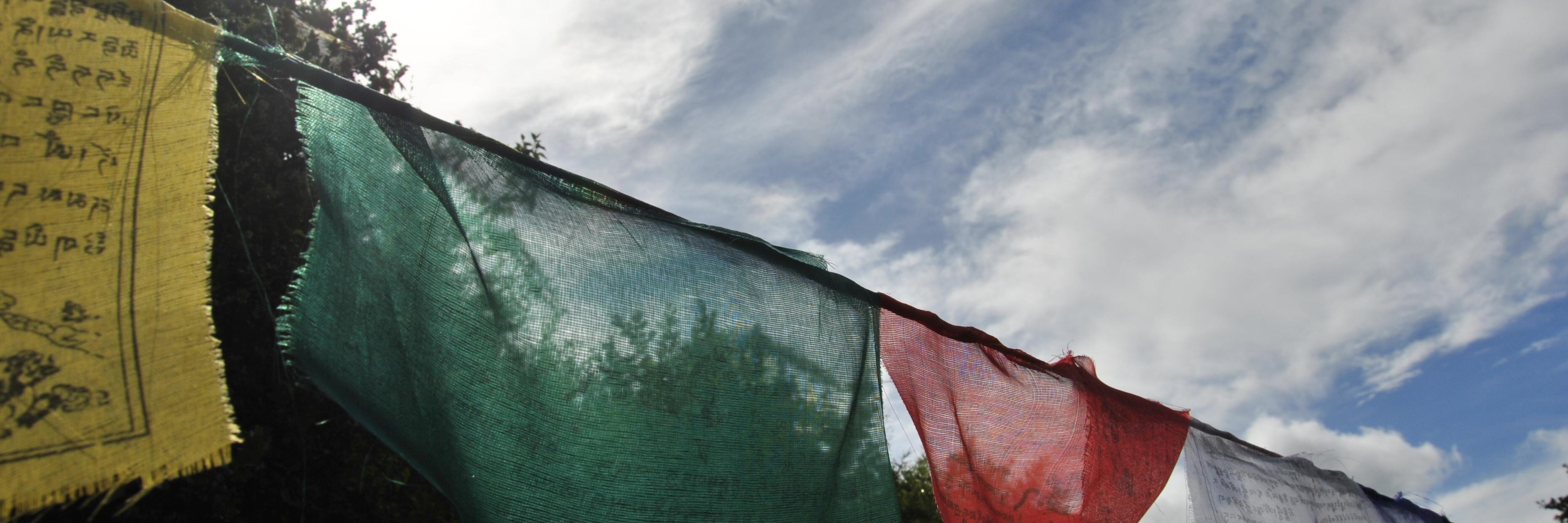 Scott LaPoint banner