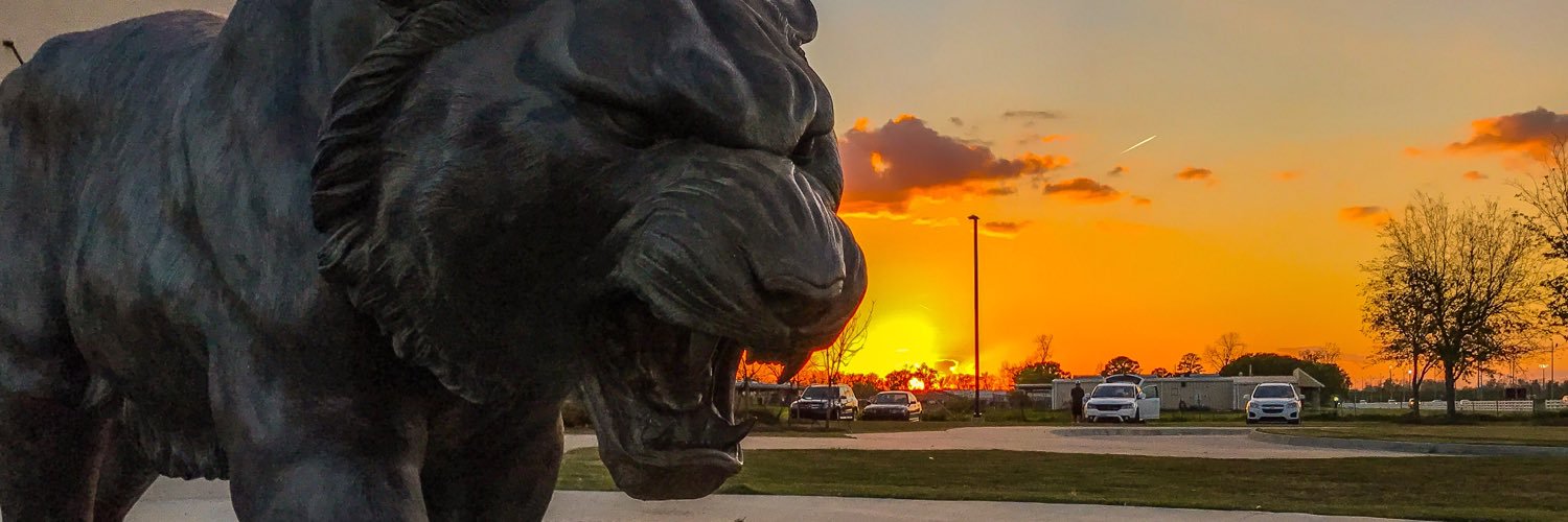 LSUCampusLife's profile banner image