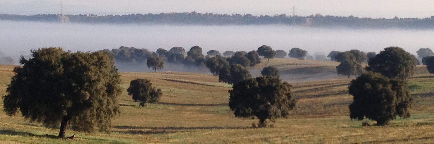 Ainhoa Lujambio banner