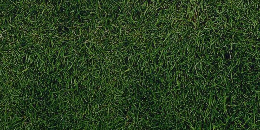 om_tegas's profile banner image