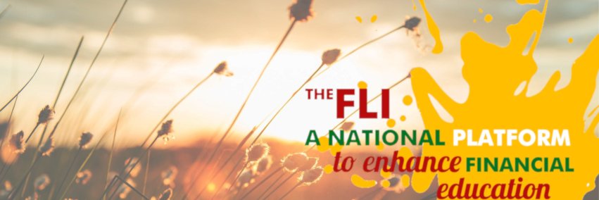 Financial Literacy Initiative Namibia banner