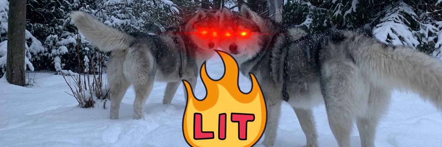 HodlCat ∞÷21m banner