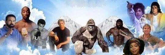 TheM0relli's profile banner image