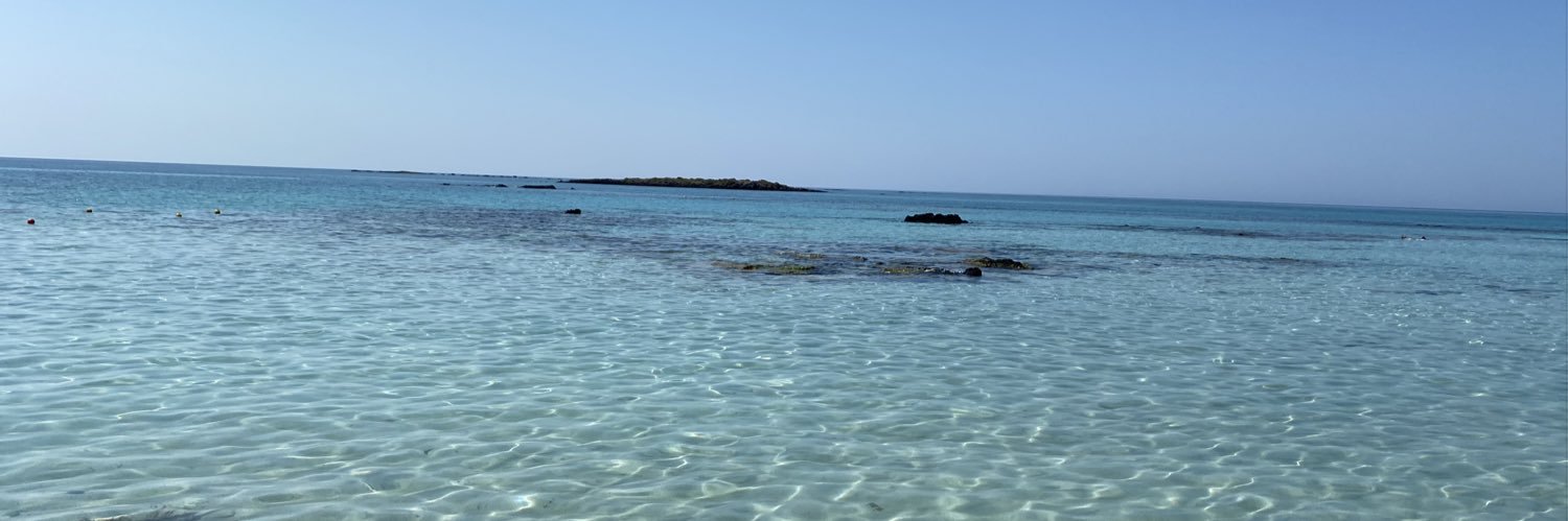 Stephanie Tackach banner