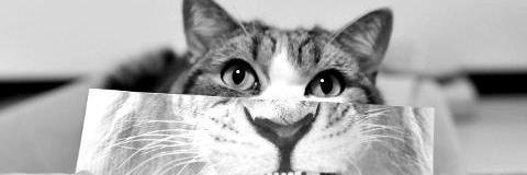 _kywilliams's profile banner image
