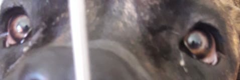 atomiktangerine's profile banner image