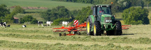 Cerience_ Profile Banner