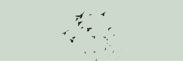 JOOHYUNO2's profile banner image