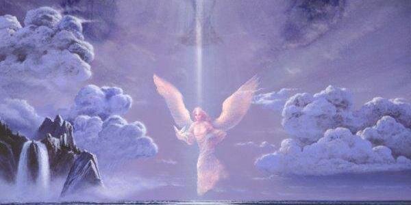 David Wyatt banner