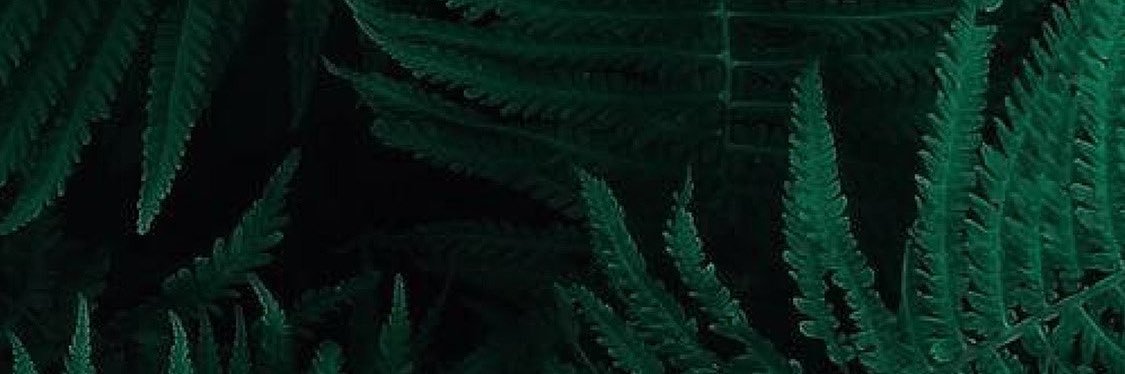 MSnesareva's profile banner image