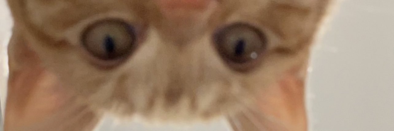 LUCIEGAMMAGE's profile banner image