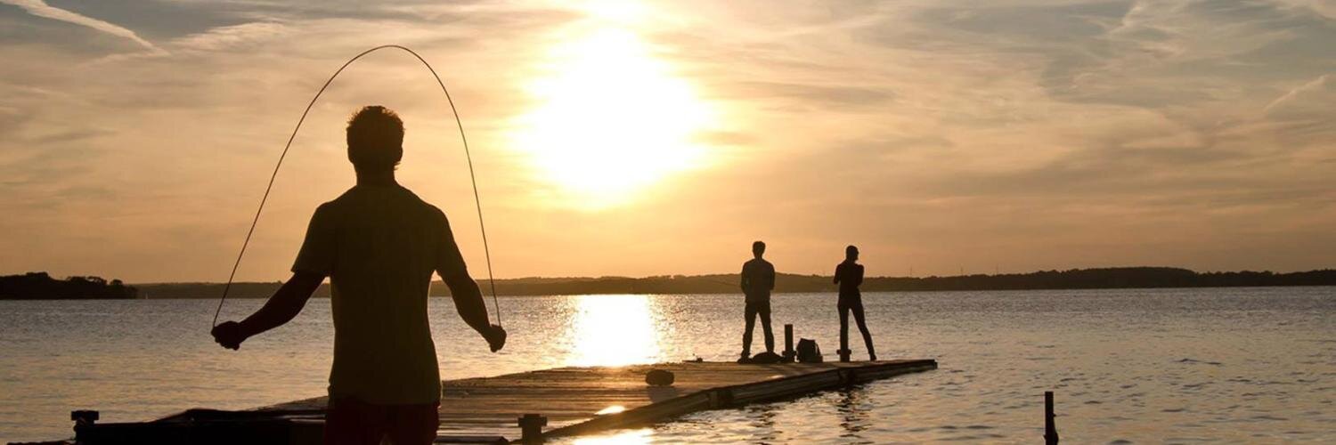 primitive_reason banner